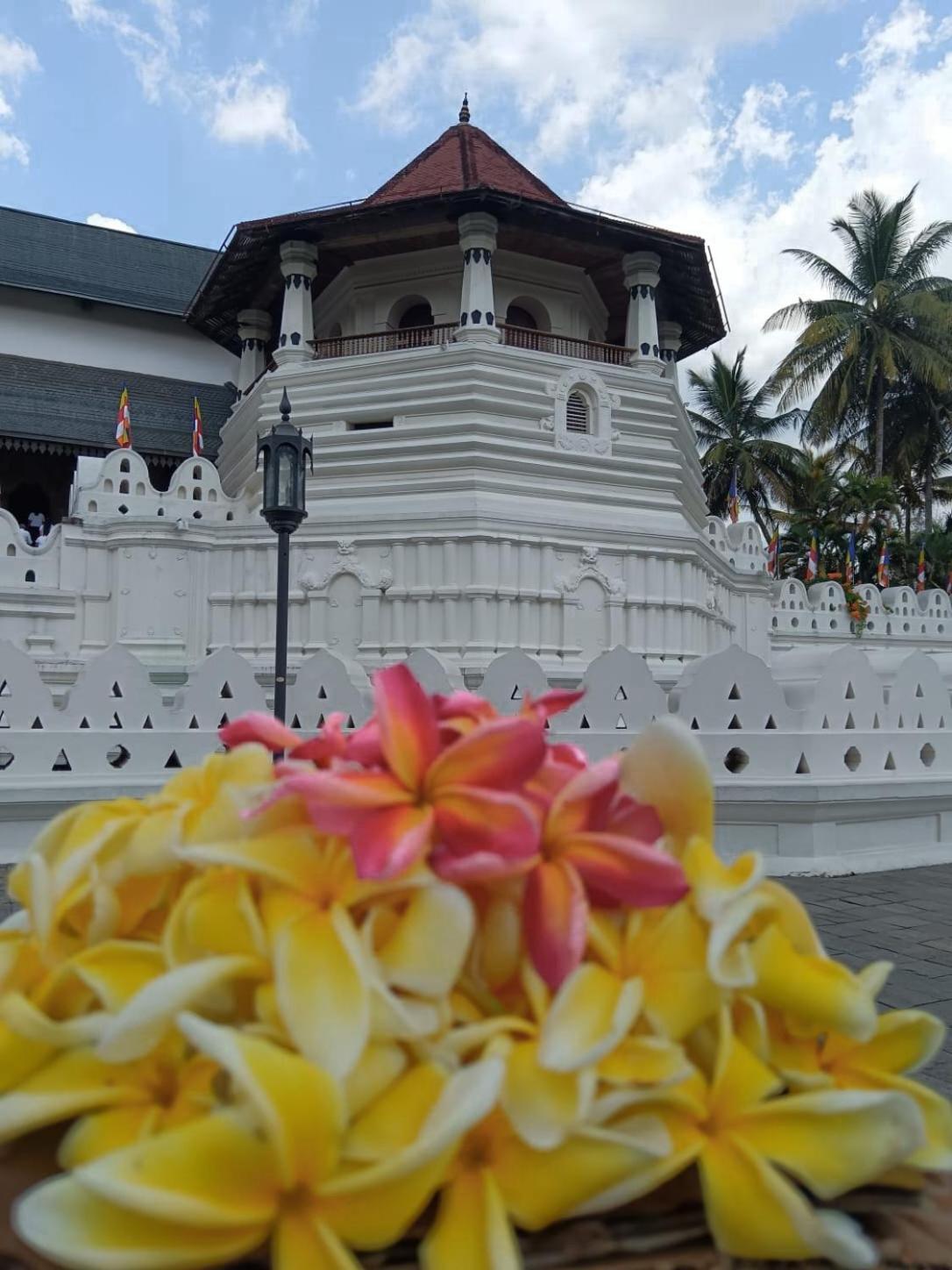 Pearl Holiday Villa Katunayaka Luaran gambar