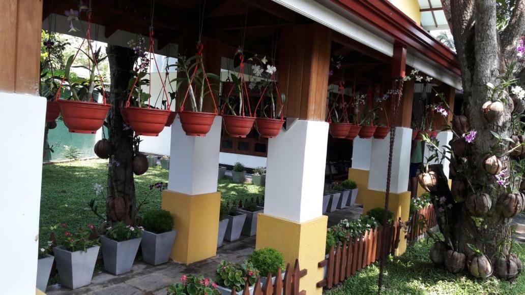 Pearl Holiday Villa Katunayaka Luaran gambar